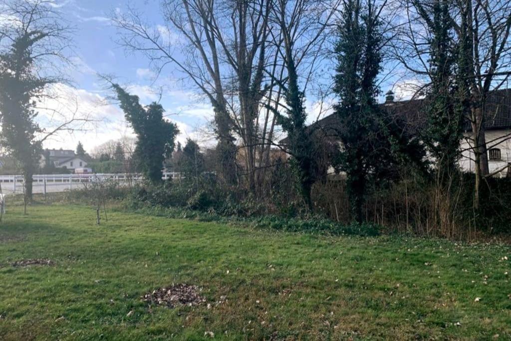 Helle Kellerwohnung Im Gruenen Mit Sauna Colónia Exterior foto