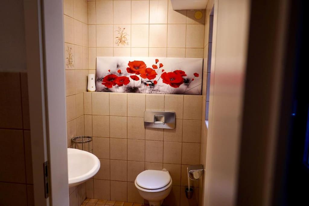 Helle Kellerwohnung Im Gruenen Mit Sauna Colónia Exterior foto